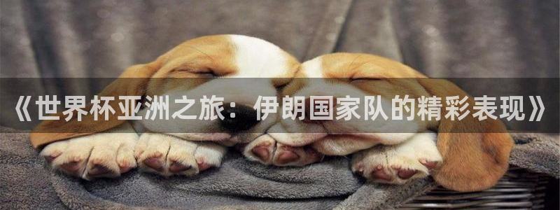 2026世预赛赛程:《世界杯亚洲之旅:伊朗国家队的精彩表现》