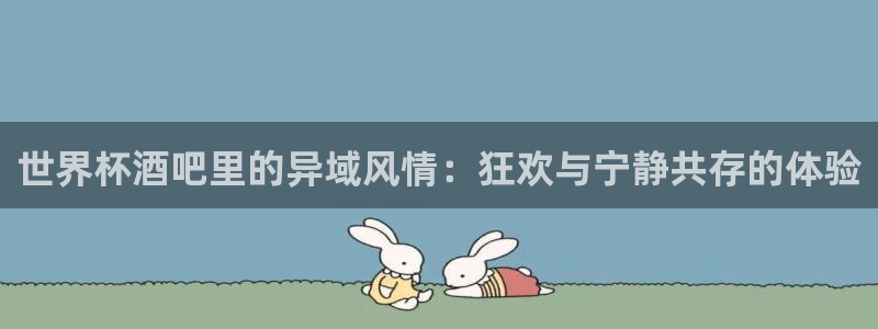 世界杯女足直播:世界杯酒吧里的异域风情:狂欢与宁静共存的体验