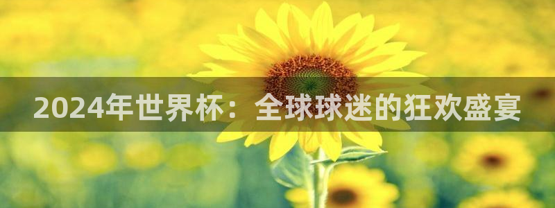 世界杯欧洲区预选赛赛程:2024年世界杯:全球球迷的狂欢盛宴