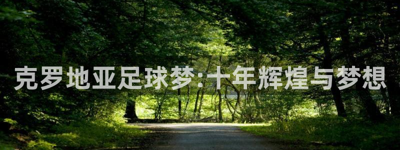 欧洲世预赛赛程表:克罗地亚足球梦:十年辉煌与梦想