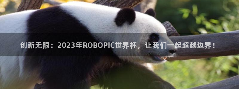 英格兰联赛杯直播:创新无限:2023年ROBOPIC世界杯,让我们一起超越边界!