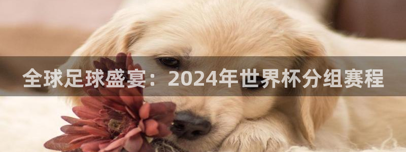 联赛杯直播:全球足球盛宴:2024年世界杯分组赛程