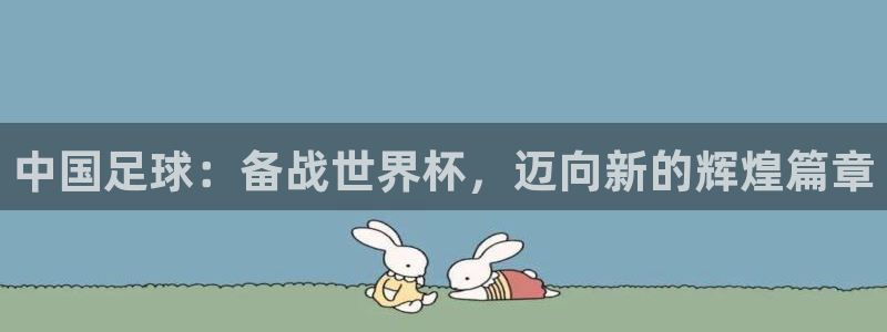 2026世界杯:中国足球:备战世界杯,迈向新的辉煌篇章