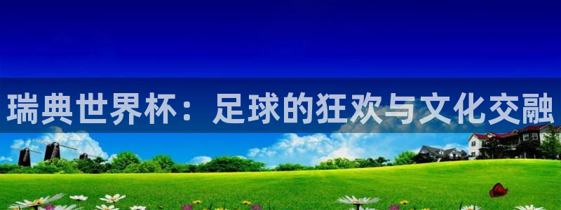 世界杯直播观看:瑞典世界杯:足球的狂欢与文化交融