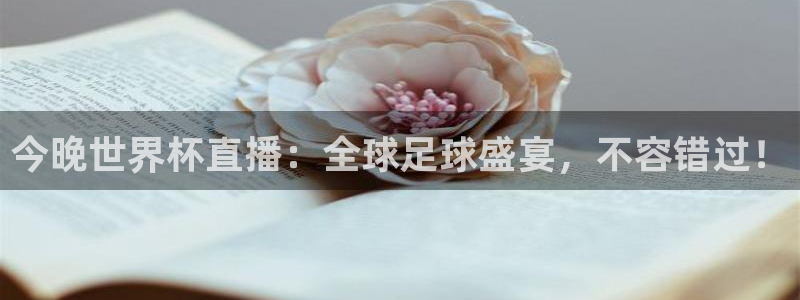 世界杯赛程表2026:今晚世界杯直播:全球足球盛宴,不容错过!